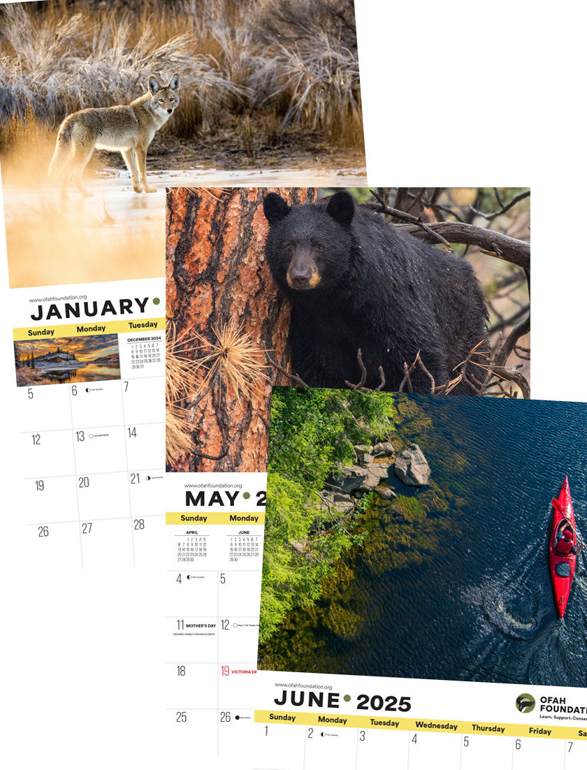 2025 OFAH conservation calendar