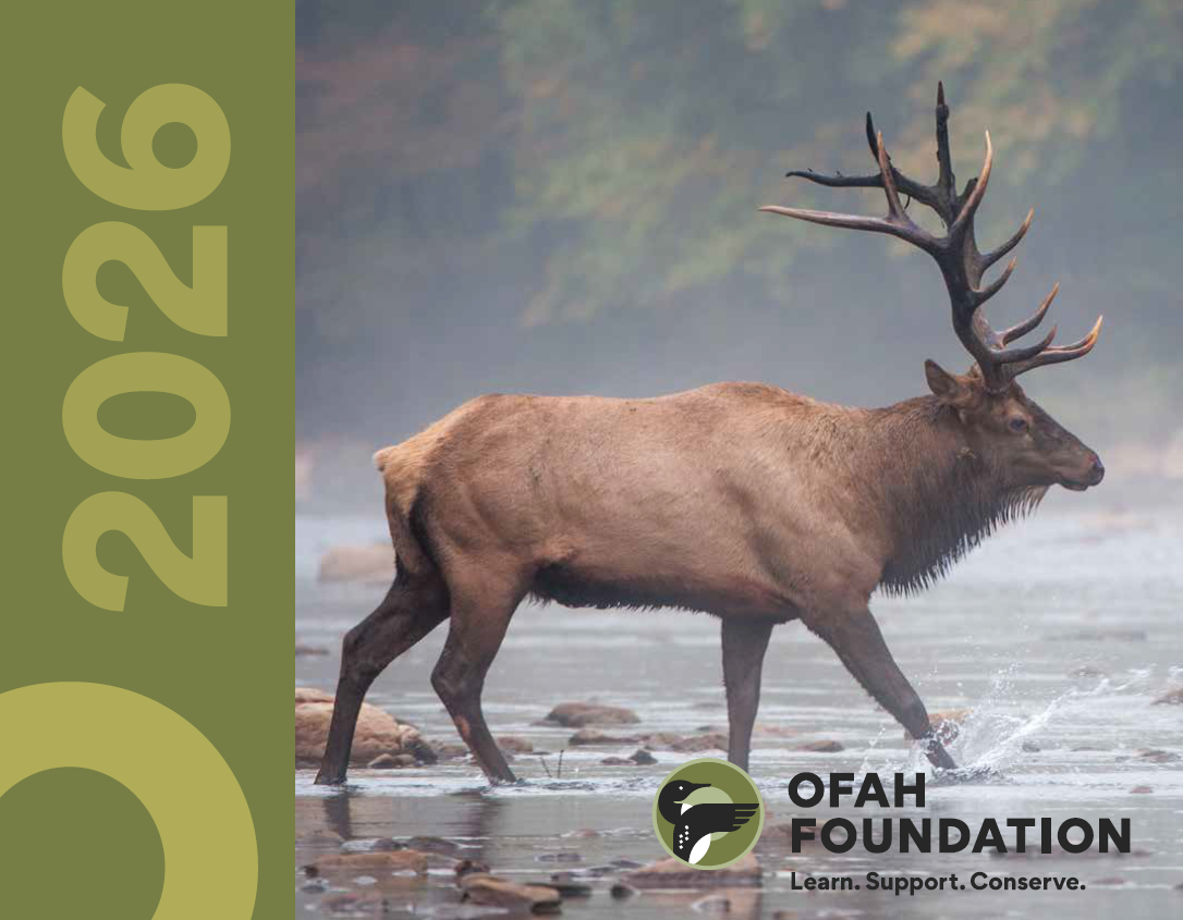 2026 Fish and Wildlife Calendar